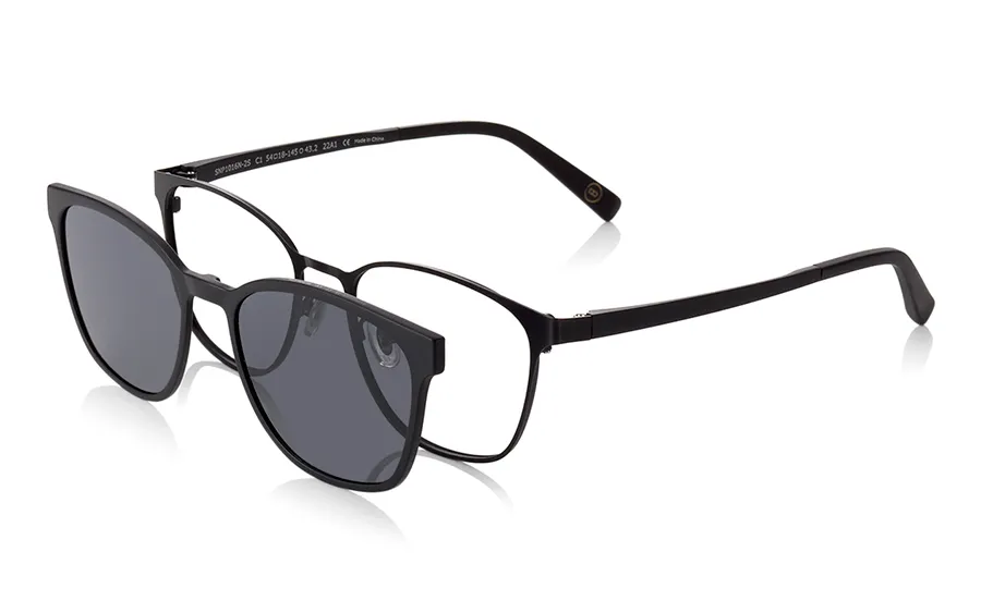 SNP1016N-2S