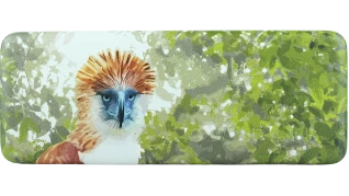 OWNDAYS × Philippine Eagle Foundation