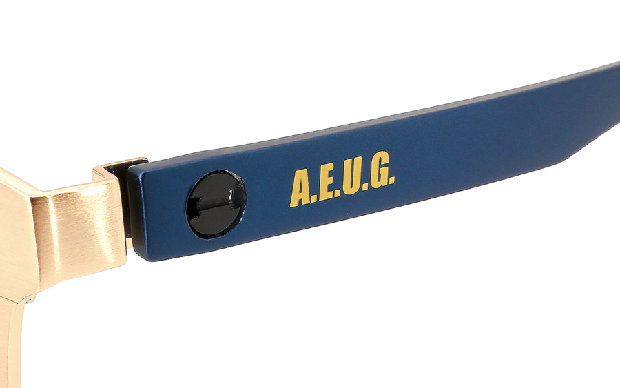 GDM1003G-1S-A C1 セットテンプル/ネイビー