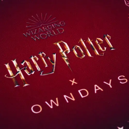 Harry Potter × OWNDAYS Original Glasses Cloth