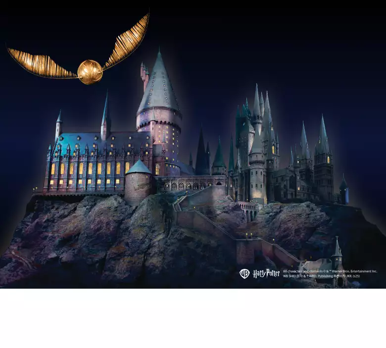 Harry Potter × OWNDAYS